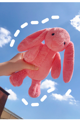 China Cute Pink Plush Easter Toy Doll Soft Cuddly Stuffed Animal Hand Wash Only supplier