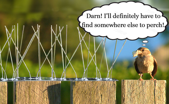 Bird Spikes for Pigeons Small Birds,Stainless Steel Bird Spikes -No More Bird Nests & Poop-Disassembled Spikes 10 Strips supplier