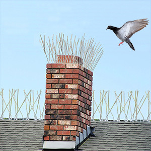 Bird Spikes for Pigeons Small Birds,Stainless Steel Bird Spikes -No More Bird Nests &amp; Poop-Disassembled Spikes 10 Strips supplier