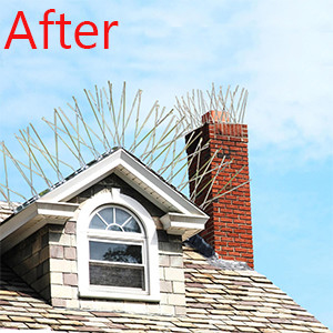Bird Spikes for Pigeons Small Birds,Stainless Steel Bird Spikes -No More Bird Nests & Poop-Disassembled Spikes 10 Strips supplier