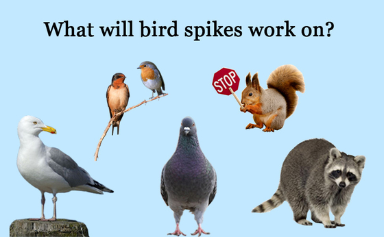 Bird Spikes for Pigeons Small Birds,Stainless Steel Bird Spikes -No More Bird Nests & Poop-Disassembled Spikes 10 Strips supplier